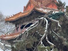 -北陵公园