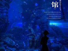 -哈尔滨波塞冬海底世界