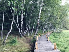 -塞罕坝国家级自然保护区