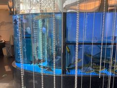 -王家渡火锅店(棕榈泉店)