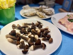 -千岛蚝高压锅生蚝·人参火锅(白云万达店)