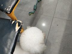 -贝利宠物医院·骨科·眼科·肿瘤转诊中心(南坪诊疗中心)