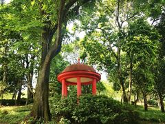 -南山植物园