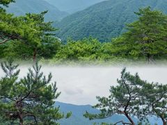 -五女峰国家森林公园