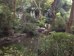 iphone_upload_pic-望江楼公园