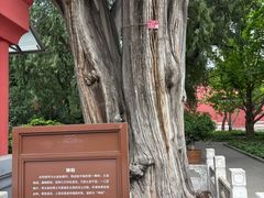 -北京市劳动人民文化宫(太庙)