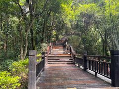 -天鹿湖森林公园