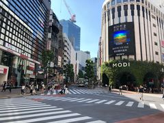 -涩谷全向十字路口
