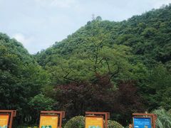 -黔灵山公园