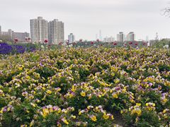 -黄兴公园