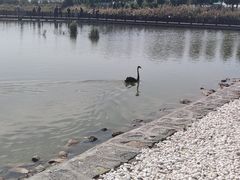 -南大港湿地风景区