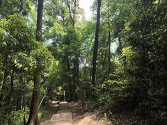 -凤栖山
