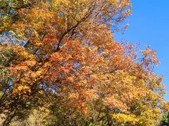 -北京西山国家森林公园