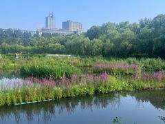 -长春市南湖公园