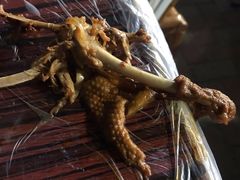 -老鳖私房菜(常青花园店)