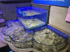 -青蓬蒸汽海鲜·深圳老字号·团建聚会(壹方城店)
