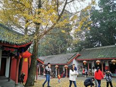 -金堂县云顶石城风景区
