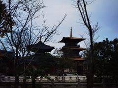 -广富林郊野公园