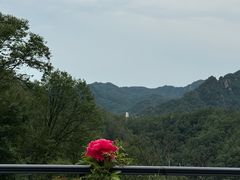 -尧山风景区