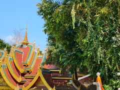 -西双版纳勐泐文化旅游区