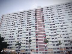 -彩虹村