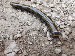 -龙潭大峡谷自然风景区