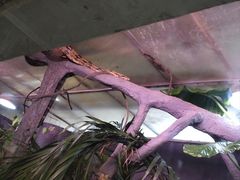 -昆明动物园
