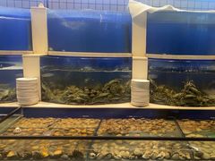 -海天盛宴新派海鲜自助餐厅(群力店)