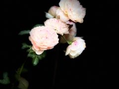 -转山咖啡(松柏社区店)