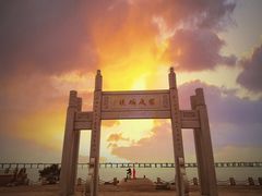 -宝安西湾红树林湿地公园