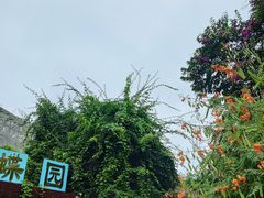 -野象谷景区