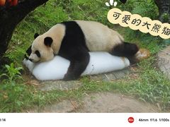 -广州长隆野生动物世界