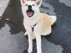 -美景宫