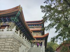 -宝莲禅寺