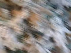 -迦南的早晨蛋糕甜品集合店