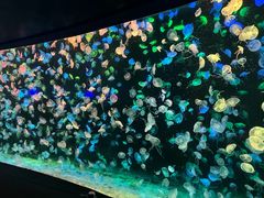 -珠海长隆海洋王国
