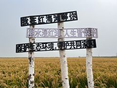 -红海滩国家风景廊道