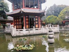 -碧江金楼