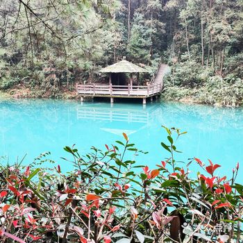 费用:停车、景区门票都免费