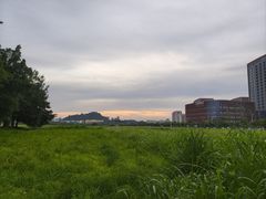 -光明小镇欢乐田园