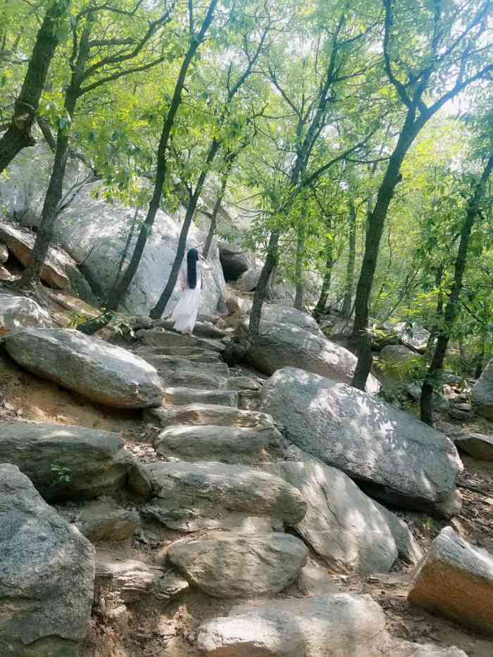 石门山国家森林公园"在曲阜国家森林公园石门山景区,上百年树龄.
