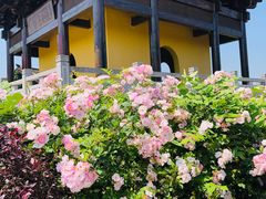 -茅山东方盐湖城景区