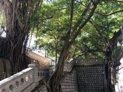 -香港佐治五世纪念公园