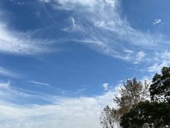 -上海滨江森林公园