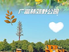 -广富林郊野公园