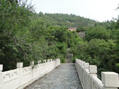 -白水寺森林公园