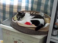 -联合动物医院(光谷诊疗中心)