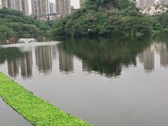 -重庆彩云湖湿地公园