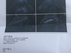 -恒幸动物医院·急重症转诊中心·神经内外科·CT核磁
