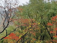 -碓臼峪自然风景区